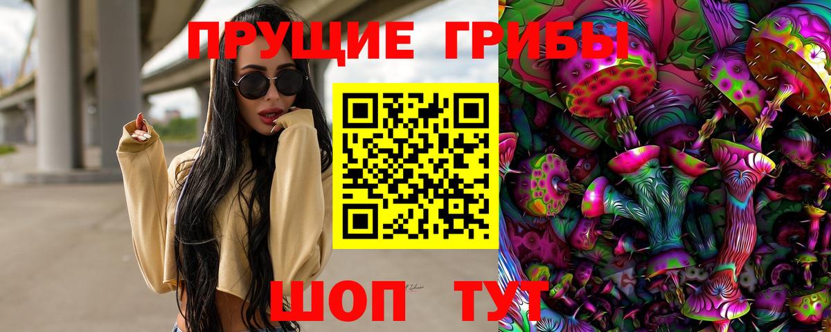 Псилоцибиновые грибы Psilocybine cubensis Рубцовск