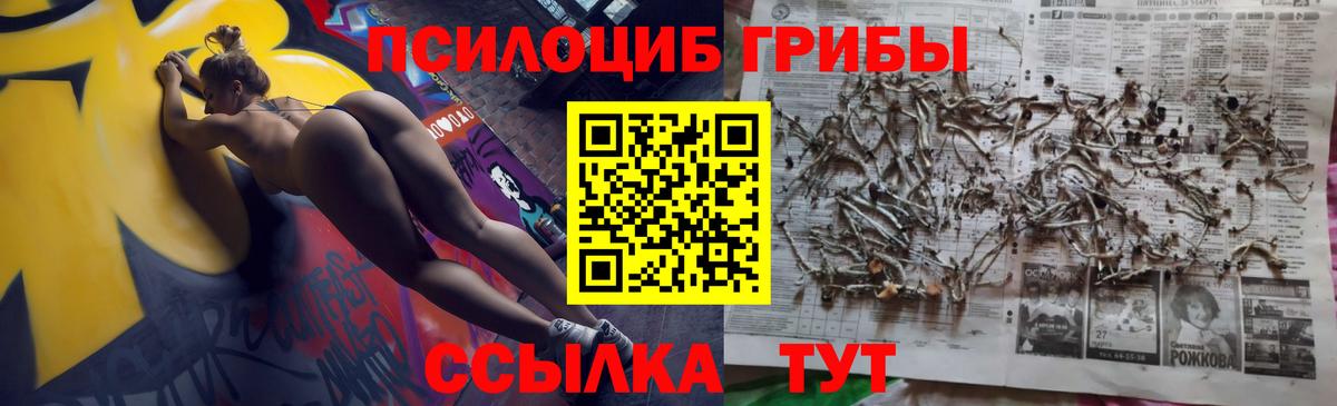 Рубцовск  Галлюциногенные грибы прущие грибы  Вход с VPN  Галлюциногенные грибы Magic Shrooms 